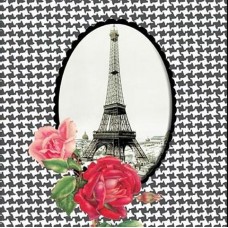 Париж в рамке розы 33х33 (1шт)